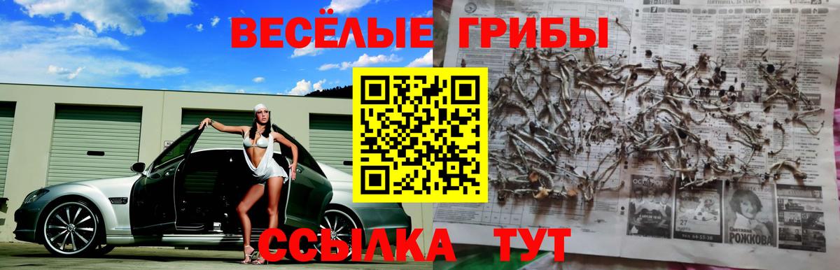 Галлюциногенные грибы GOLDEN TEACHER Шахты