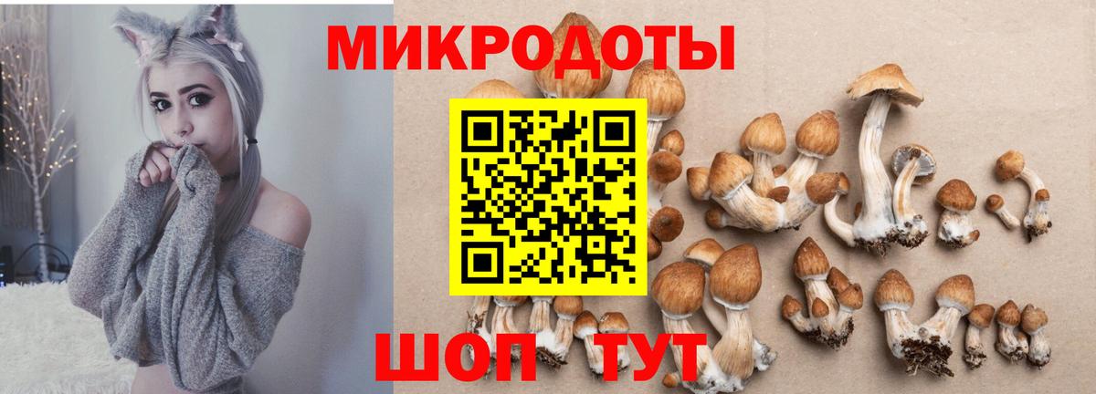 Шахты  Галлюциногенные грибы мицелий  Вход с VPN 